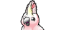 cockatoo.com