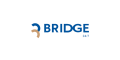 bridge247.net TW
