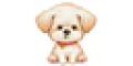 store.piccopuppy.com NO