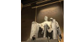 Tour of Washington DC US