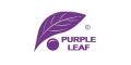 Purple Leaf
