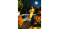 MoonbowUS