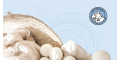 Smart Sheep Dryer Balls US