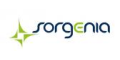 Sorgenia IT