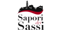 Saporideisassi IT