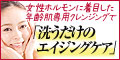 株式会社シンリー・ジャパン