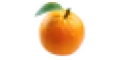 orangeburps.com NO