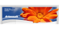 Artensoft US